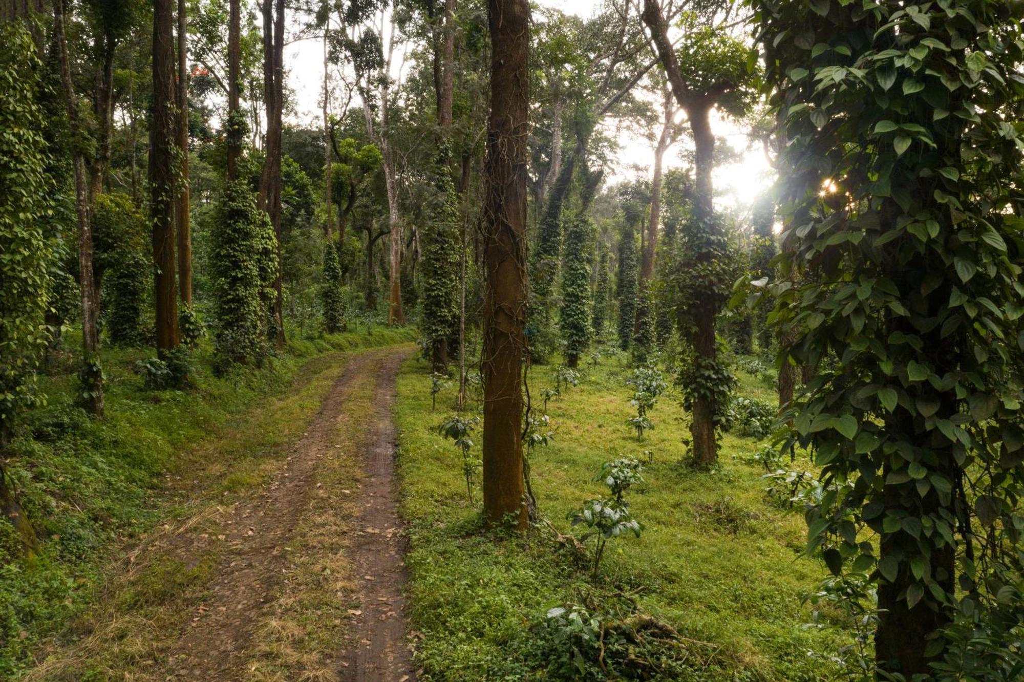 Suntikoppa Tusker Trail By Luxunlock酒店 外观 照片